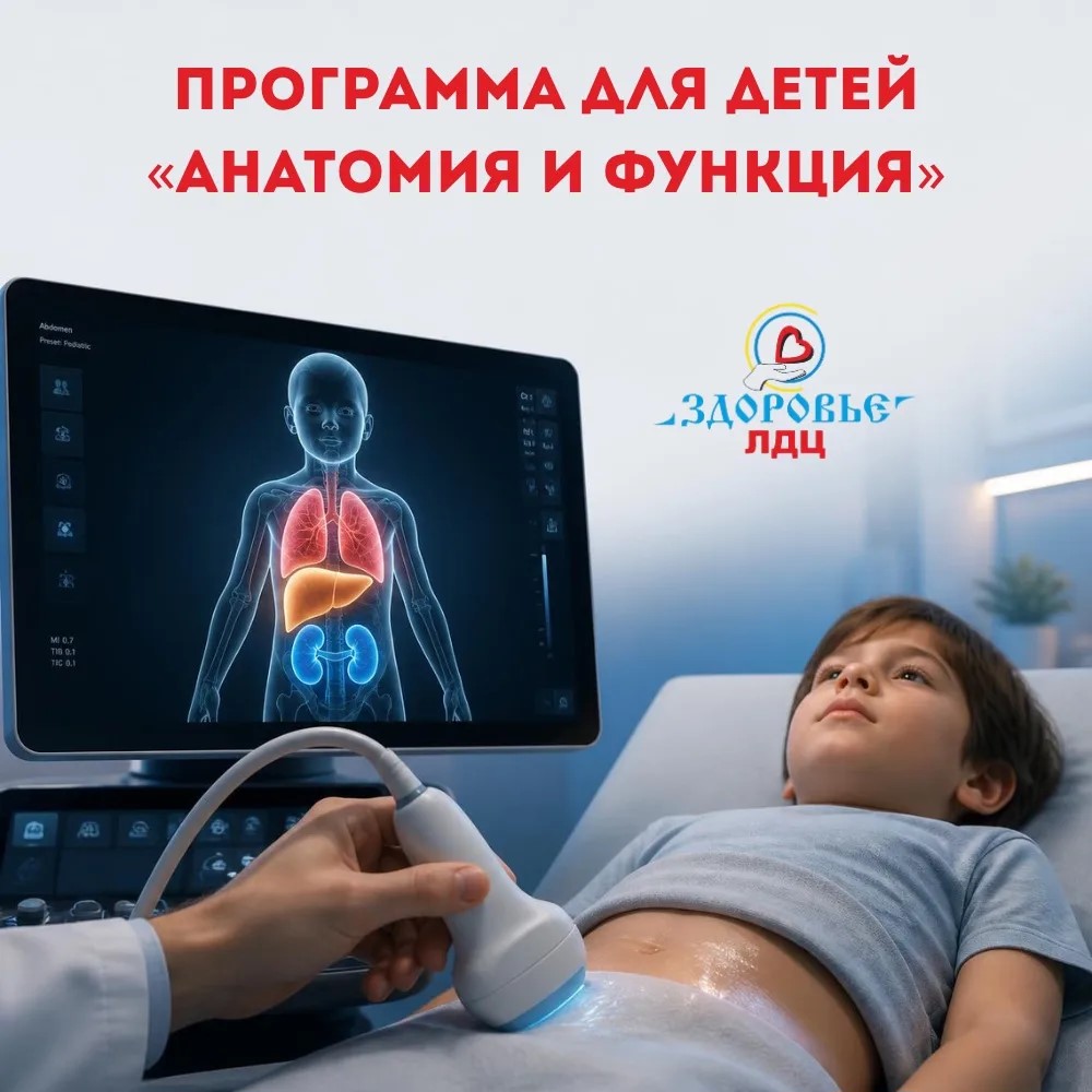 Программа: «Анатомия и функция»