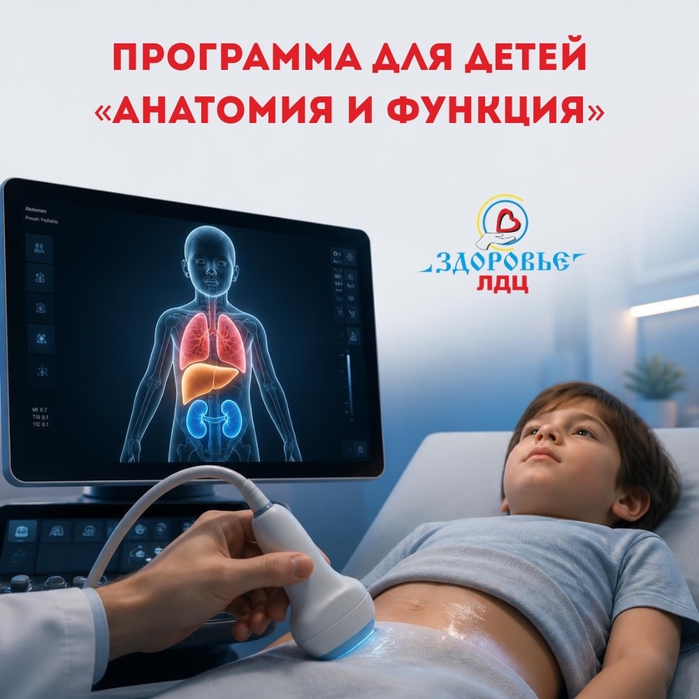Программа для детей «Анатомия и функция»